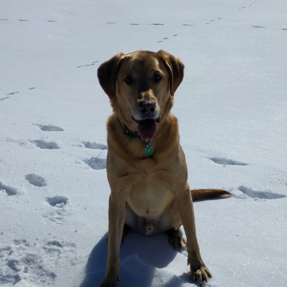 Meet your Posher, Katelyn - Picture 1 of 1